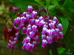 20070322 20.jpg